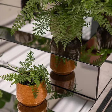 Szálloda Almanac X Alcron Prága