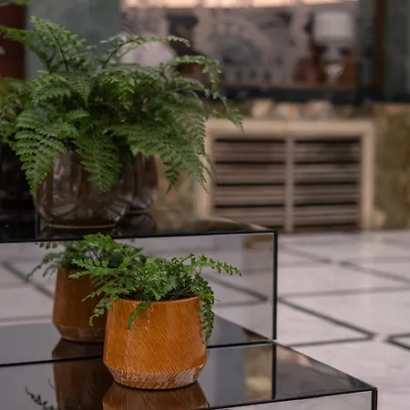Almanac X Alcron Hotel Prague